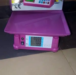 Table Top Weighing Scales for Wholesale Weighing Scale