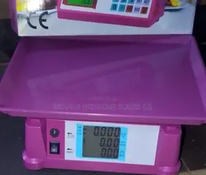 40kg Weigh TCS/Acs Digital Food Weigh Scale Household Weighing Scales