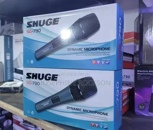 Professional Shuge Microphone