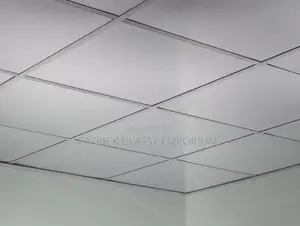 Suspended Ceiling