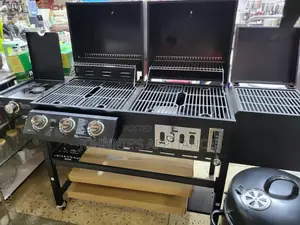 Multifunctional Commercial Barbecue Both Gas and Charcoal