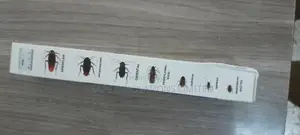Cockroach Gel