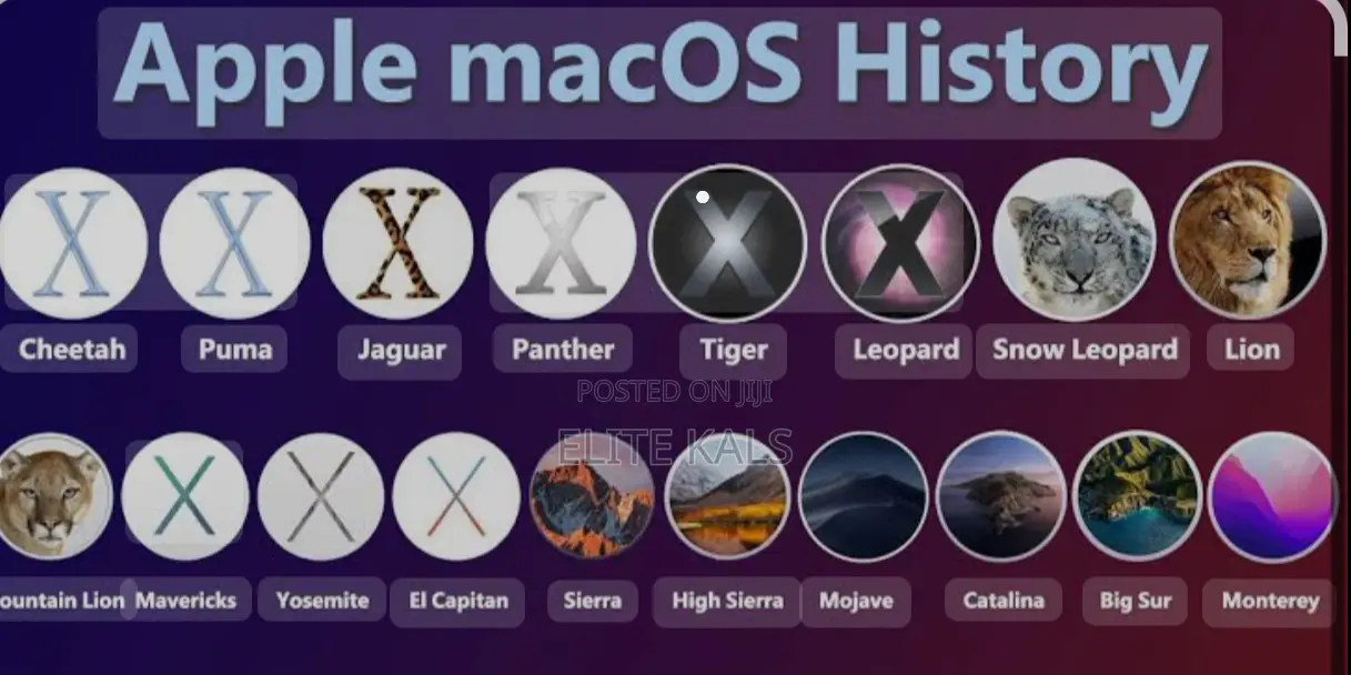 Mac OS Installation and Software Installation