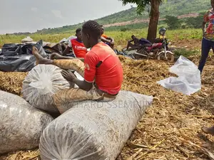 Photo - Silage Packing Bags