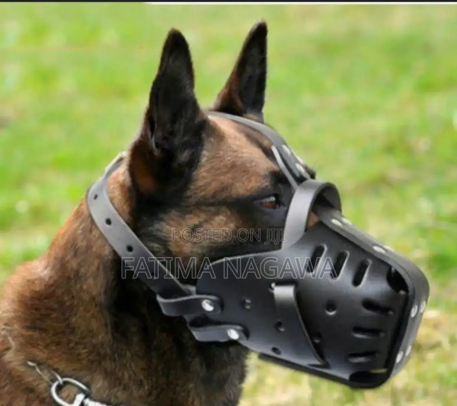 Cowhide Dog Muzzle