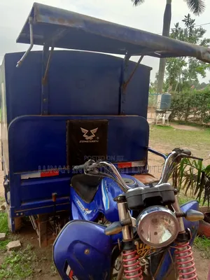 Tricycle 2023 Blue
