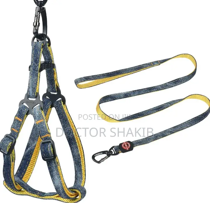 Adjustable Dog Harness Set With Leash