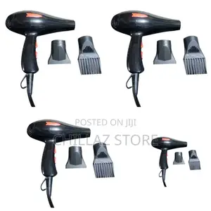 Electric Hair Dryer