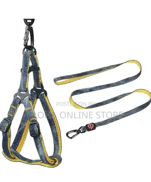 Comfortable Dog Harness With Leash
