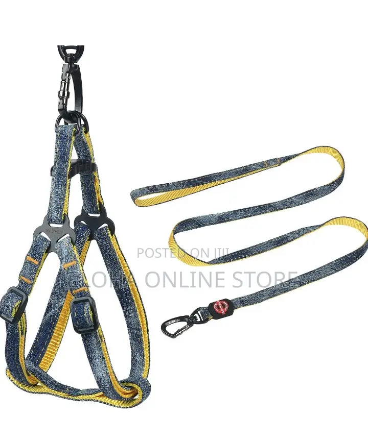 Comfortable Dog Harness With Leash
