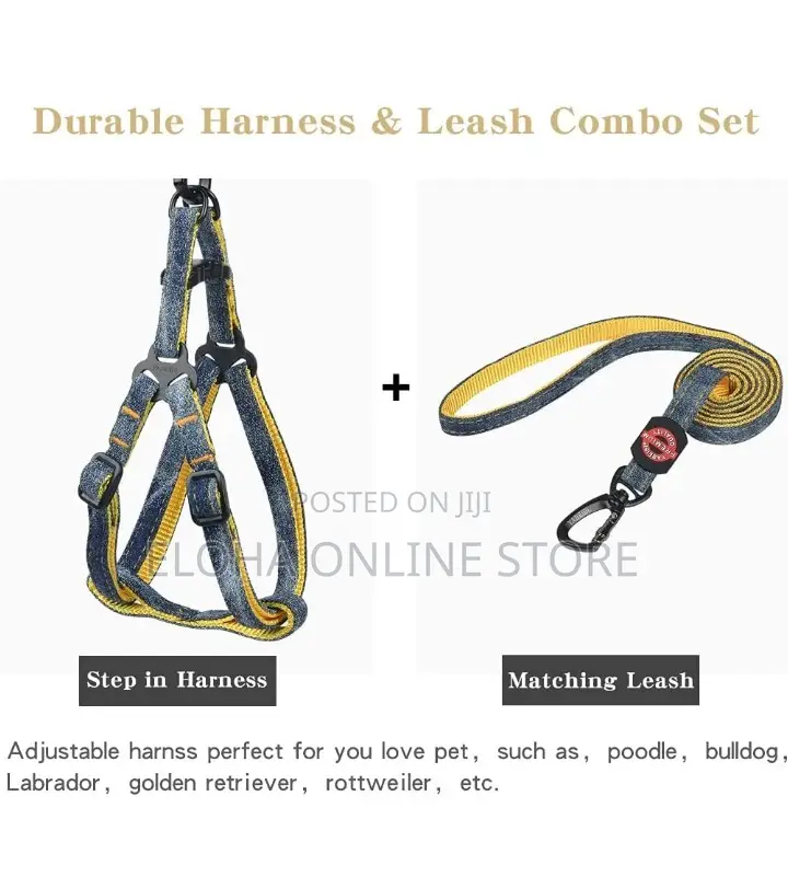 Comfortable Dog Harness With Leash