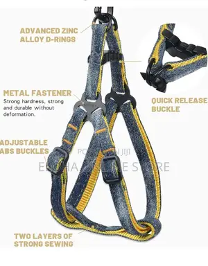 Comfortable Dog Harness With Leash