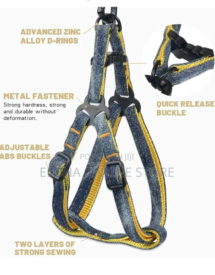 Comfortable Dog Harness With Leash