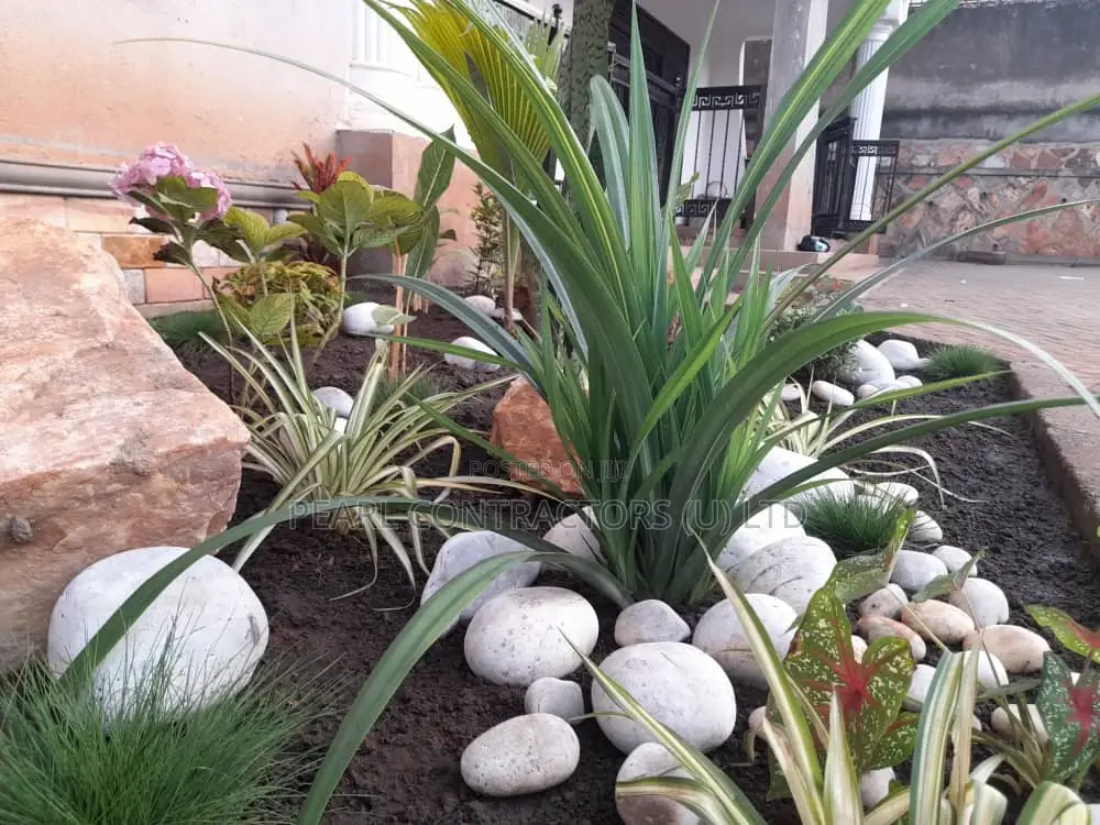 Landscaping and Gardening Works