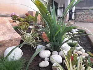 Landscaping and Gardening Works