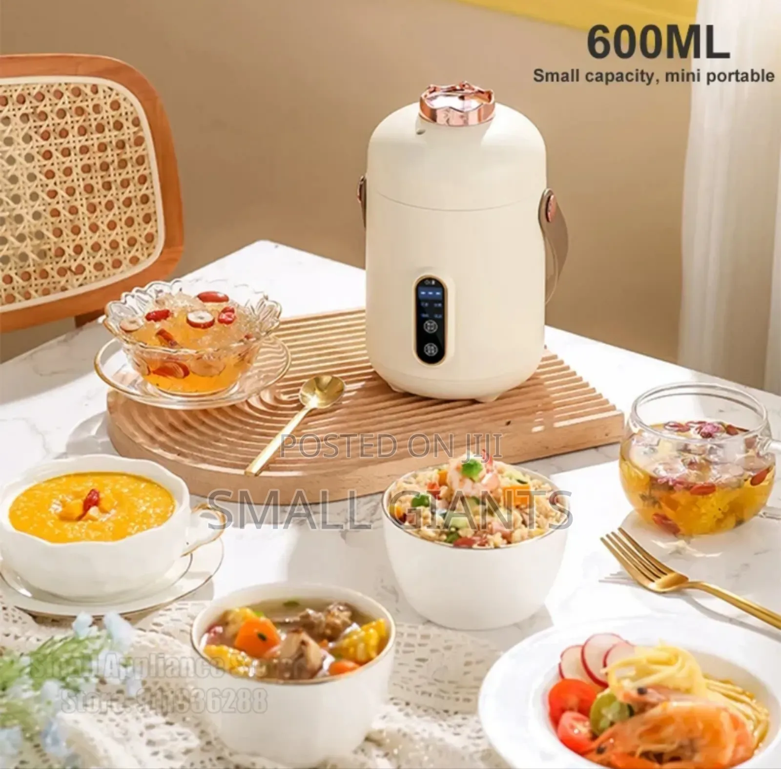 New Mini Multifunction Electric Cooker 600ML