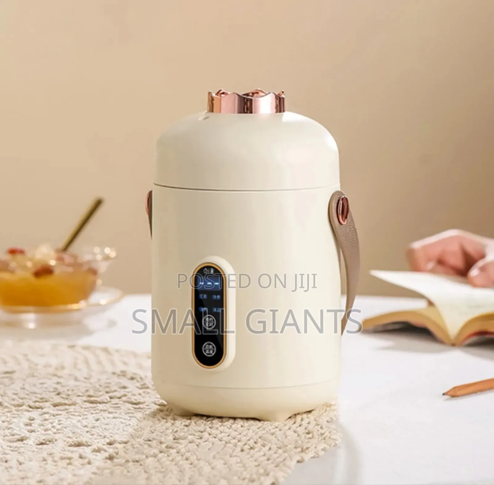 New Mini Multifunction Electric Cooker 600ML