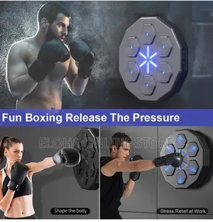 Wallmount Boxing Machine With Bluetooth and a Pair of Gloves