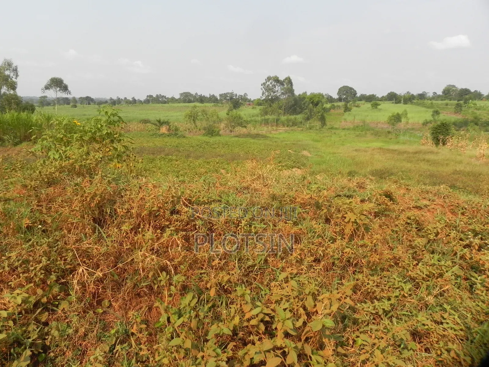 One Acre, Bulamagi Trading Centre Along Iganga_luuka Highway