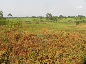 One Acre, Bulamagi Trading Centre Along Iganga_luuka Highway