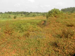 One Acre, Bulamagi Trading Centre Along Iganga_luuka Highway