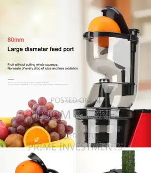 Brand New Hoffman Slow Juicer