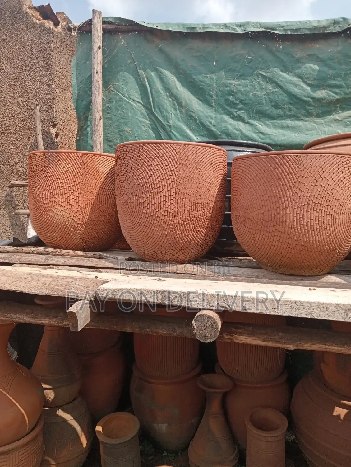 Pots of Nature (Flower Pots)