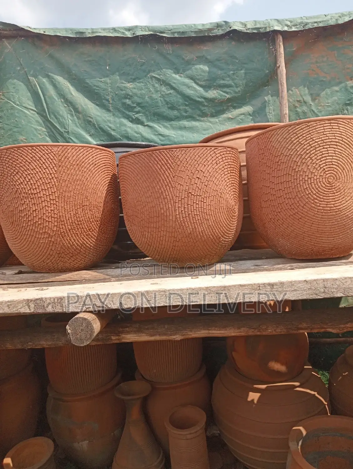 Pots of Nature (Flower Pots)
