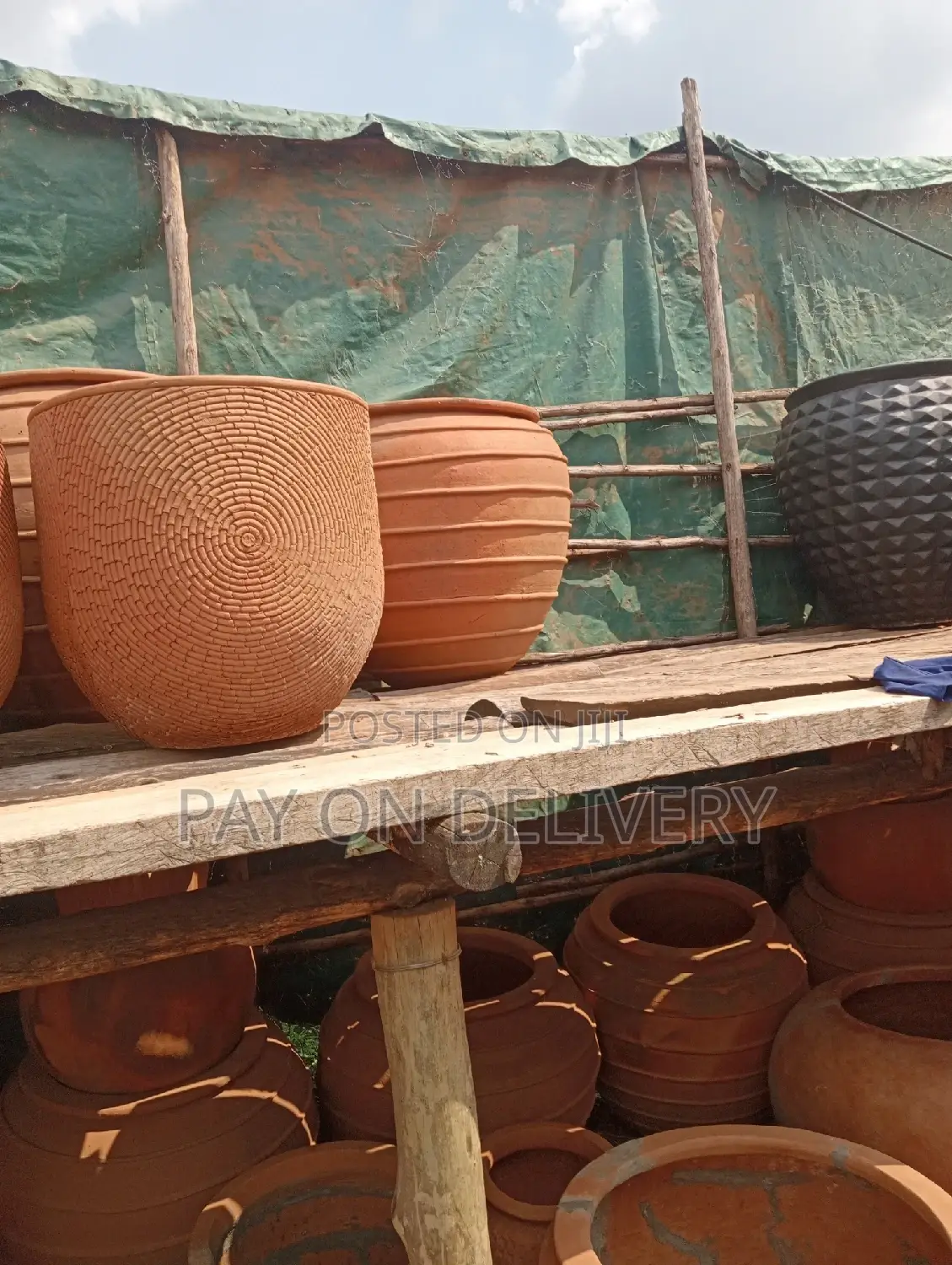 Pots of Nature (Flower Pots)