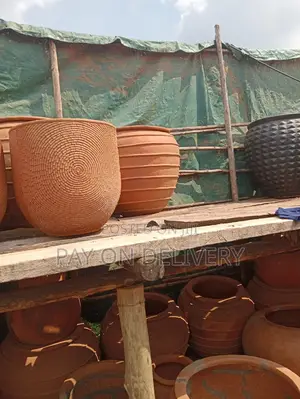 Pots of Nature (Flower Pots)