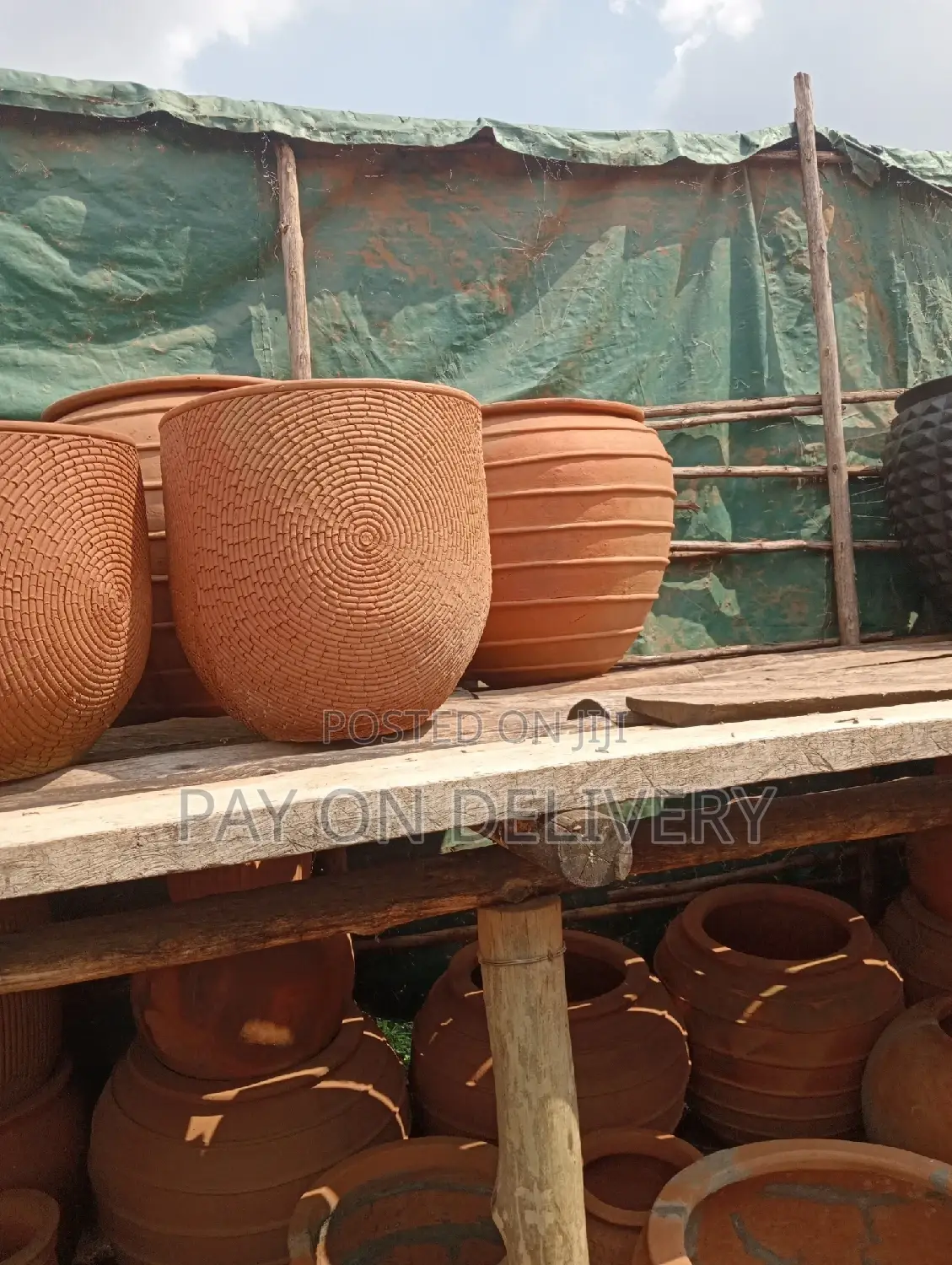 Pots of Nature (Flower Pots)
