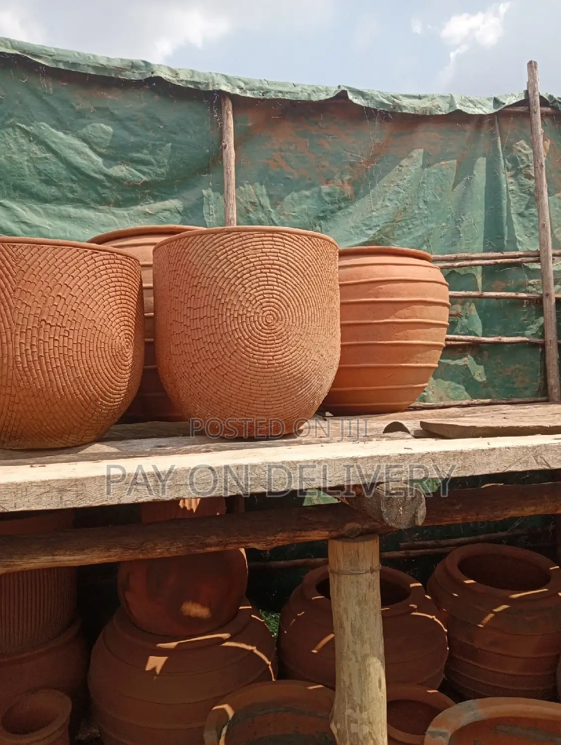 Pots of Nature (Flower Pots)