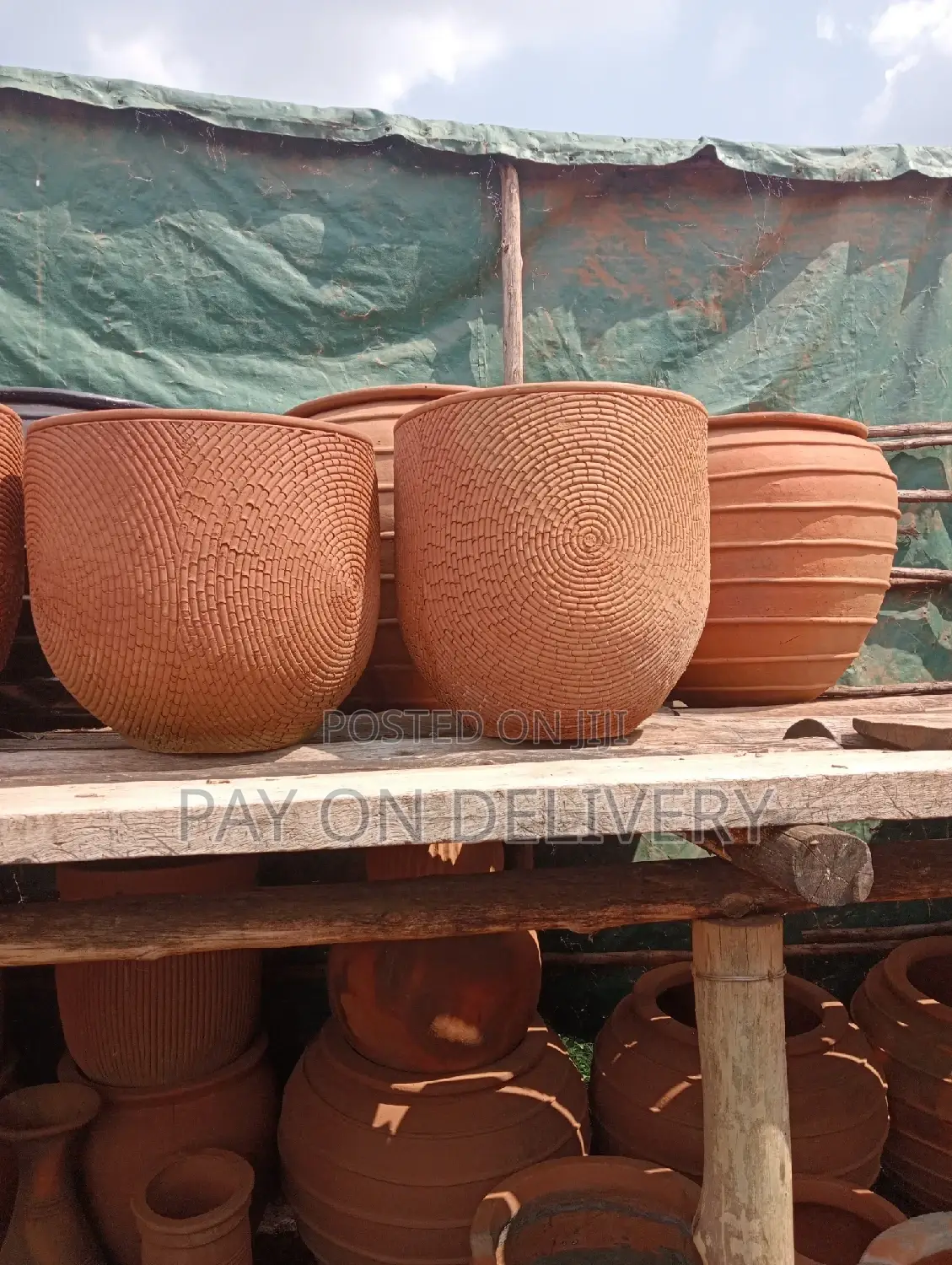 Pots of Nature (Flower Pots)