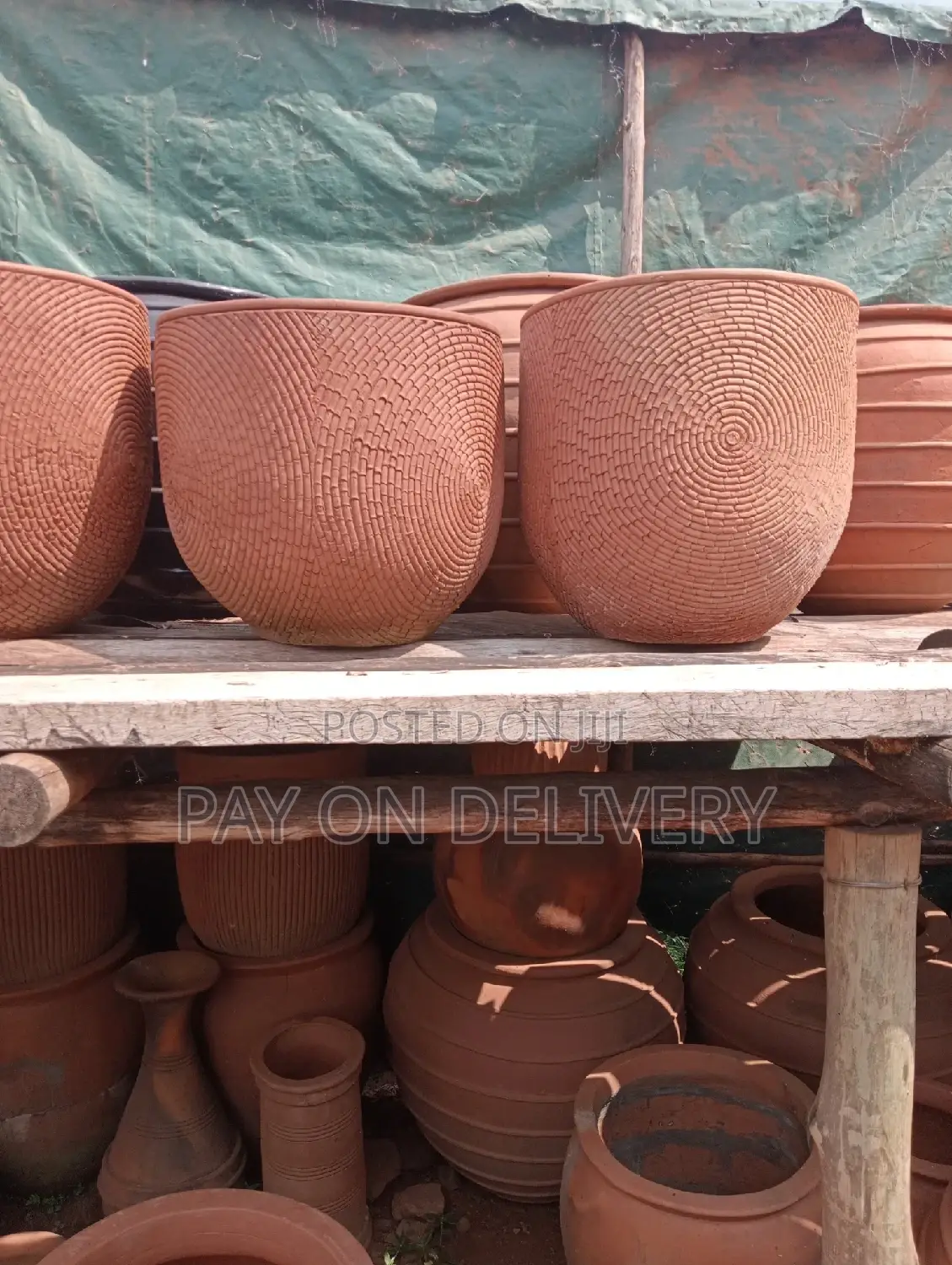 Pots of Nature (Flower Pots)