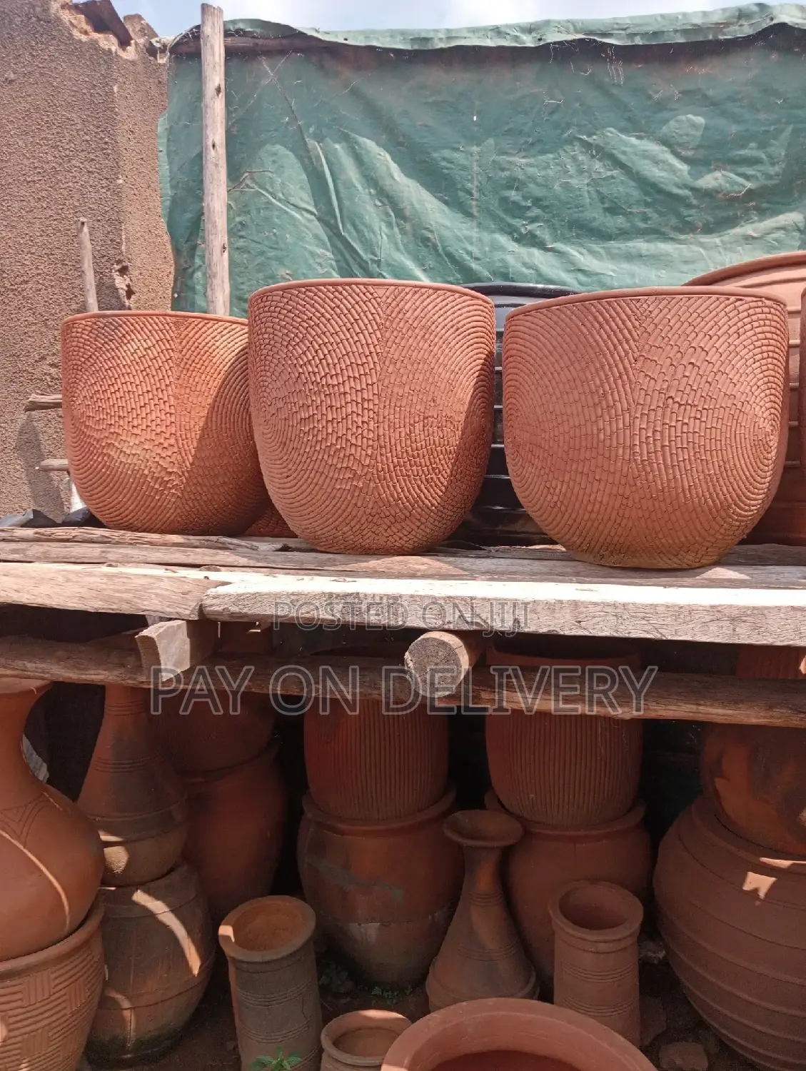 Pots of Nature (Flower Pots)
