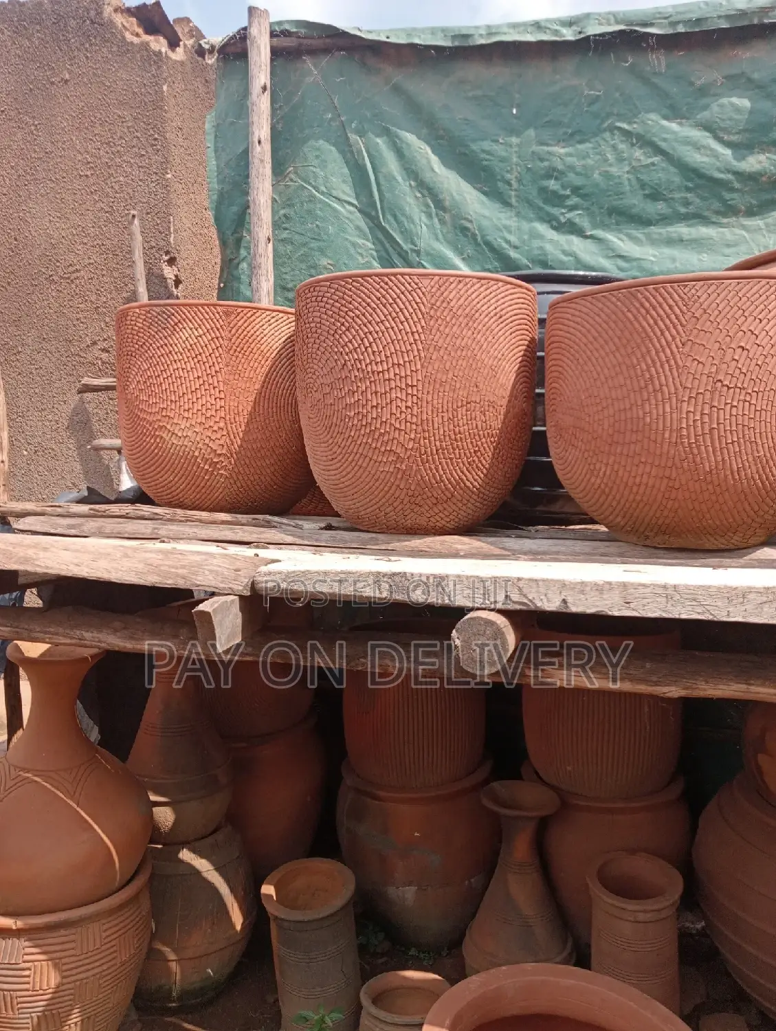Pots of Nature (Flower Pots)
