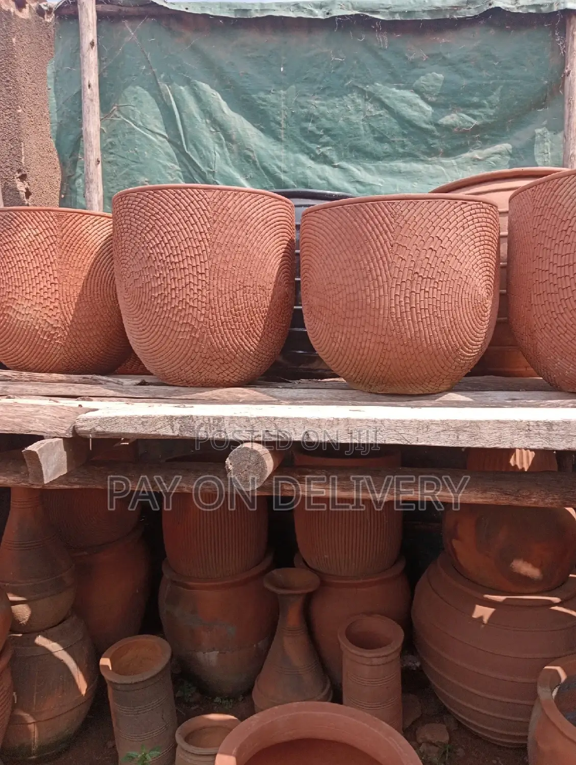 Pots of Nature (Flower Pots)