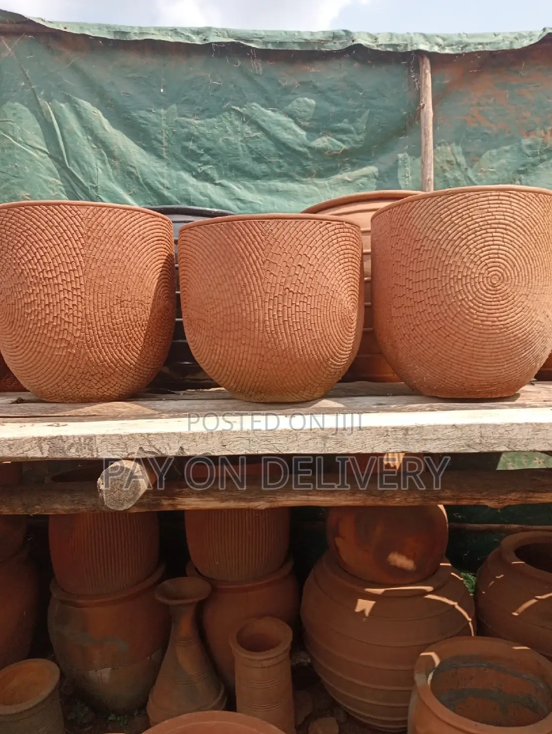 Pots of Nature (Flower Pots)