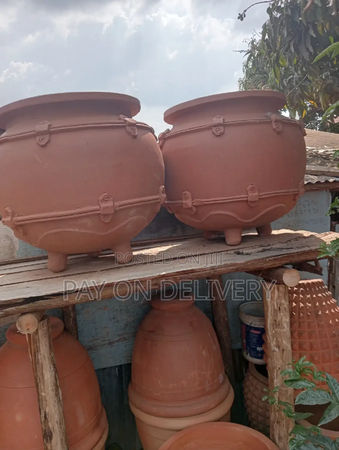 The Next (Flower Pots)