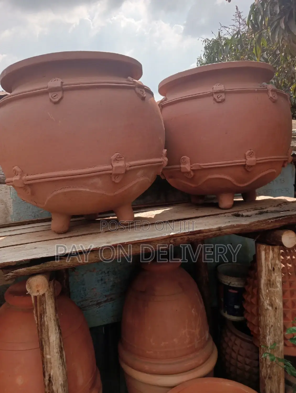 The Next (Flower Pots)