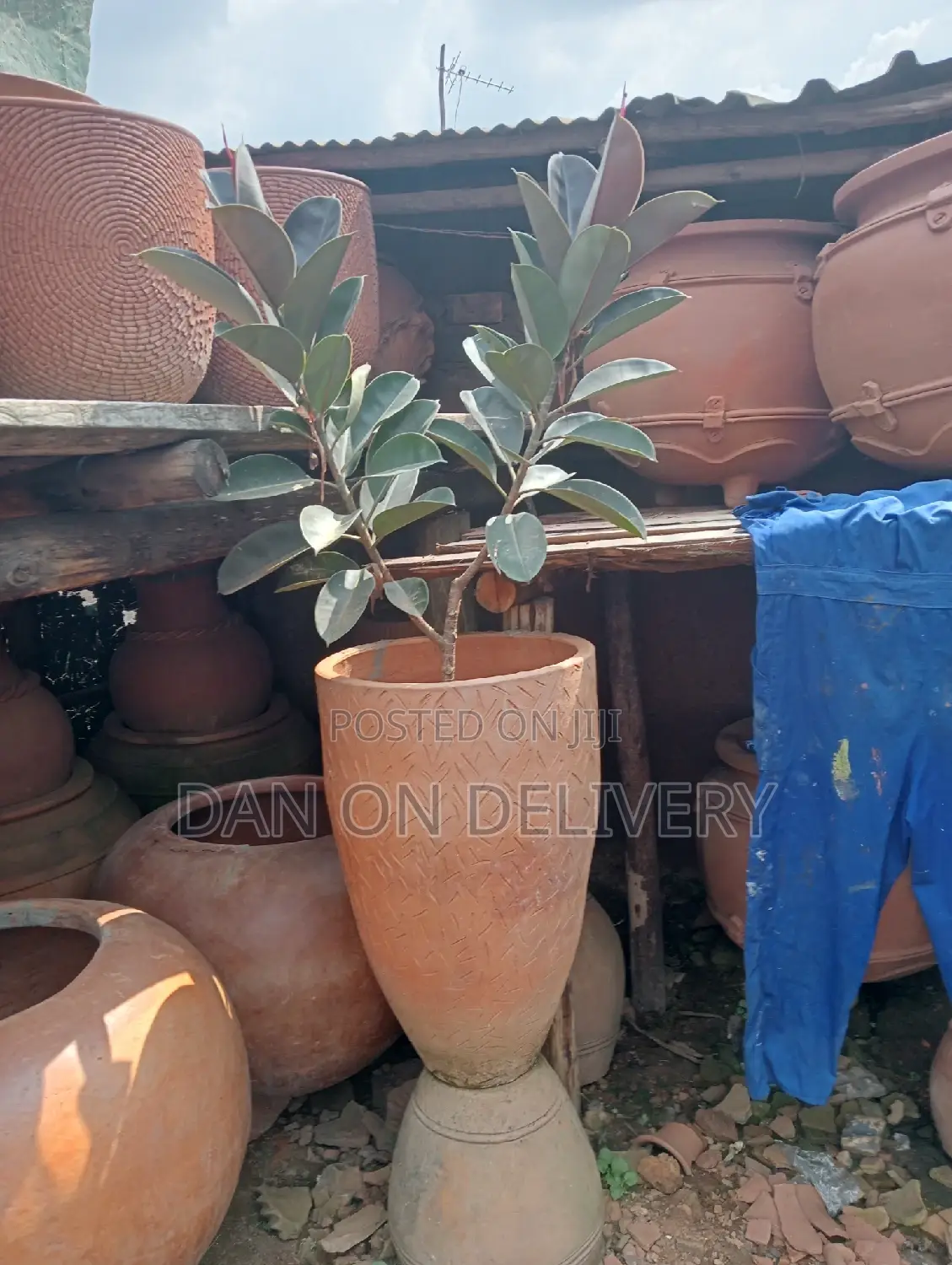 The Next (Flower Pots)