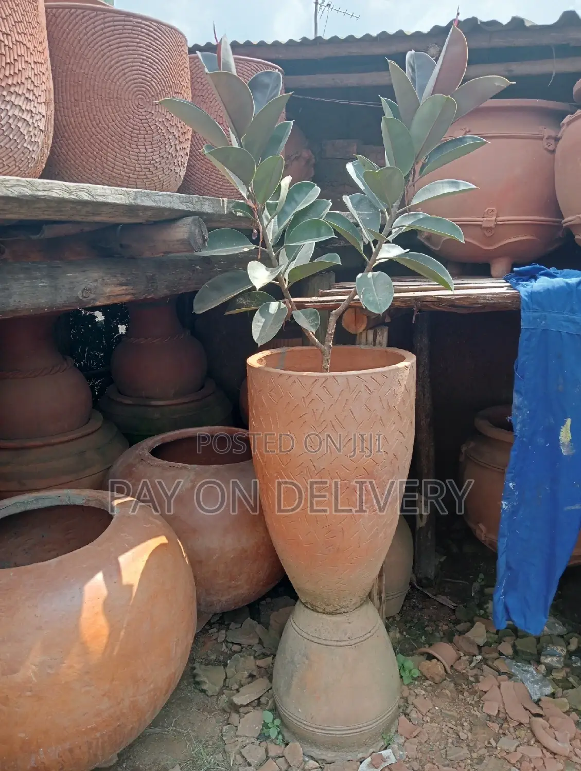 The Next (Flower Pots)