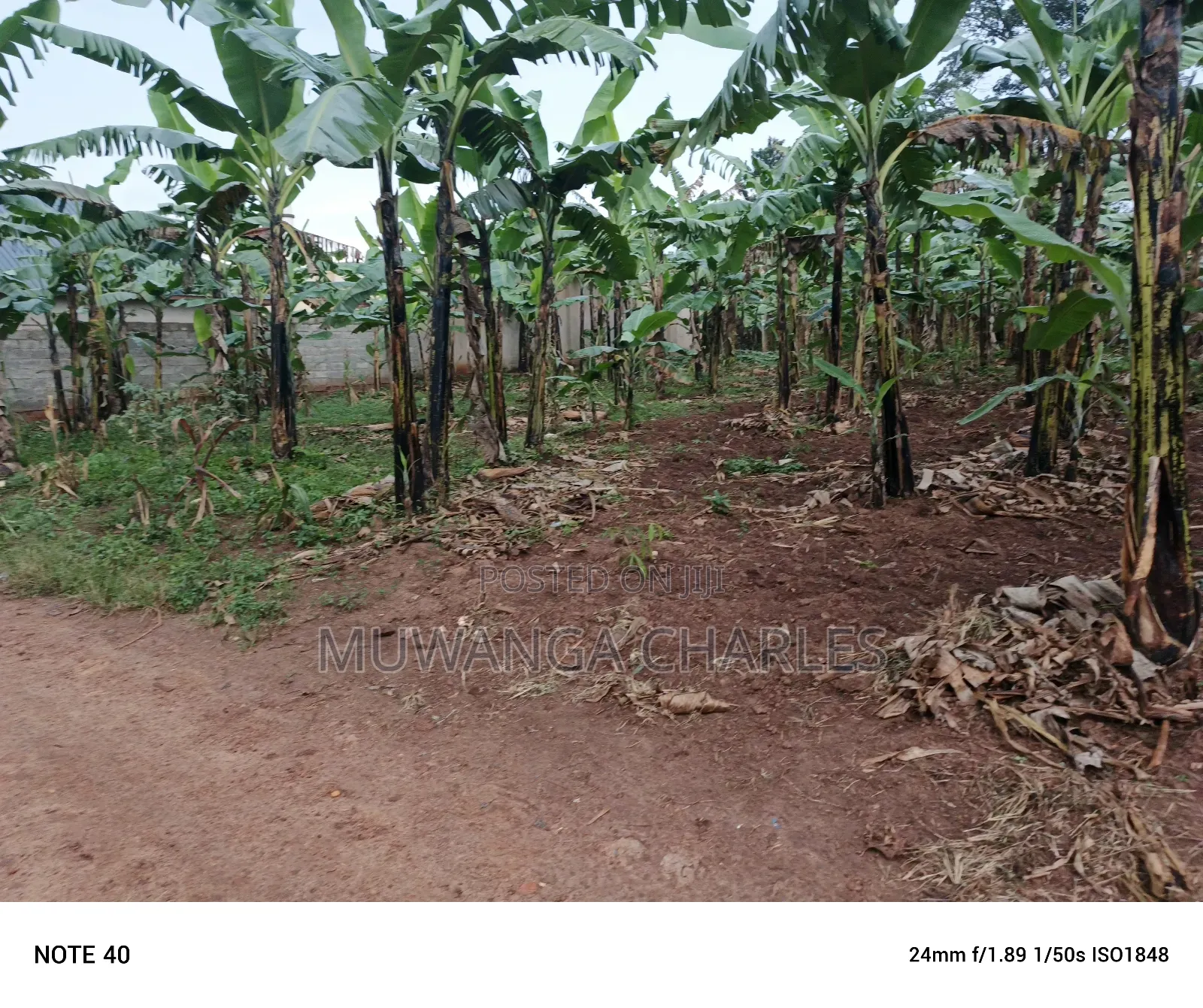 Plot for Sale in Nangambo