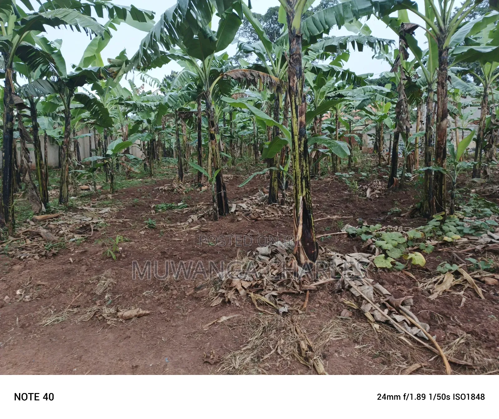 Plot for Sale in Nangambo