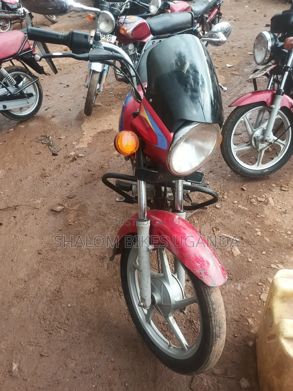 Bajaj Boxer 125 2023 Red