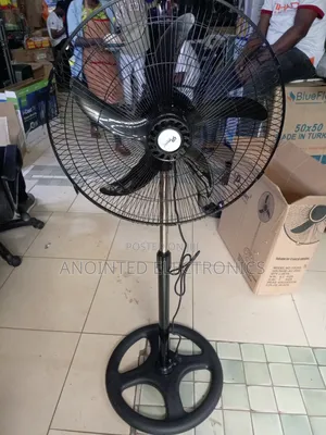 Dp Stand Fans Black