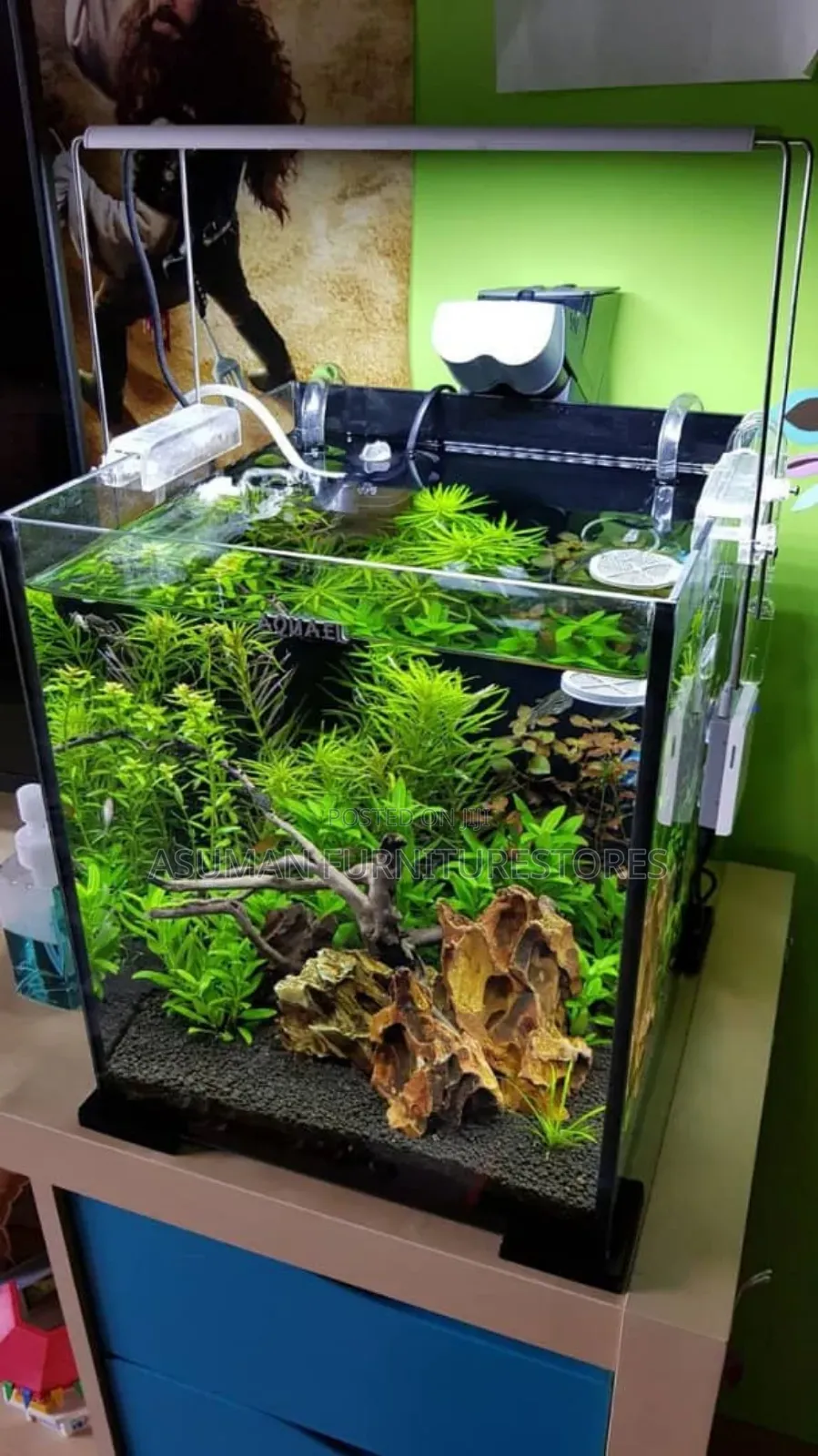 Modern Aquatic Foams Call Us On