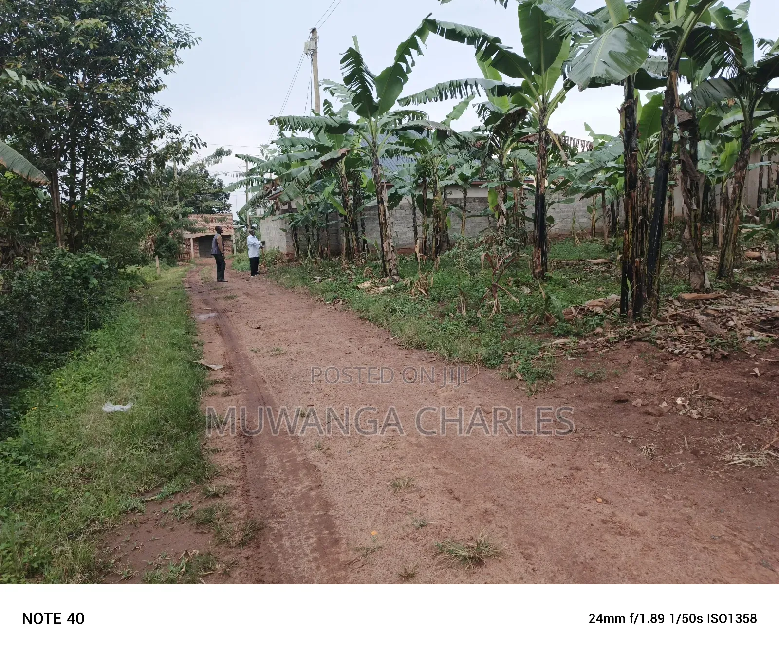 100by50ft Plot for Sale in Nangabo