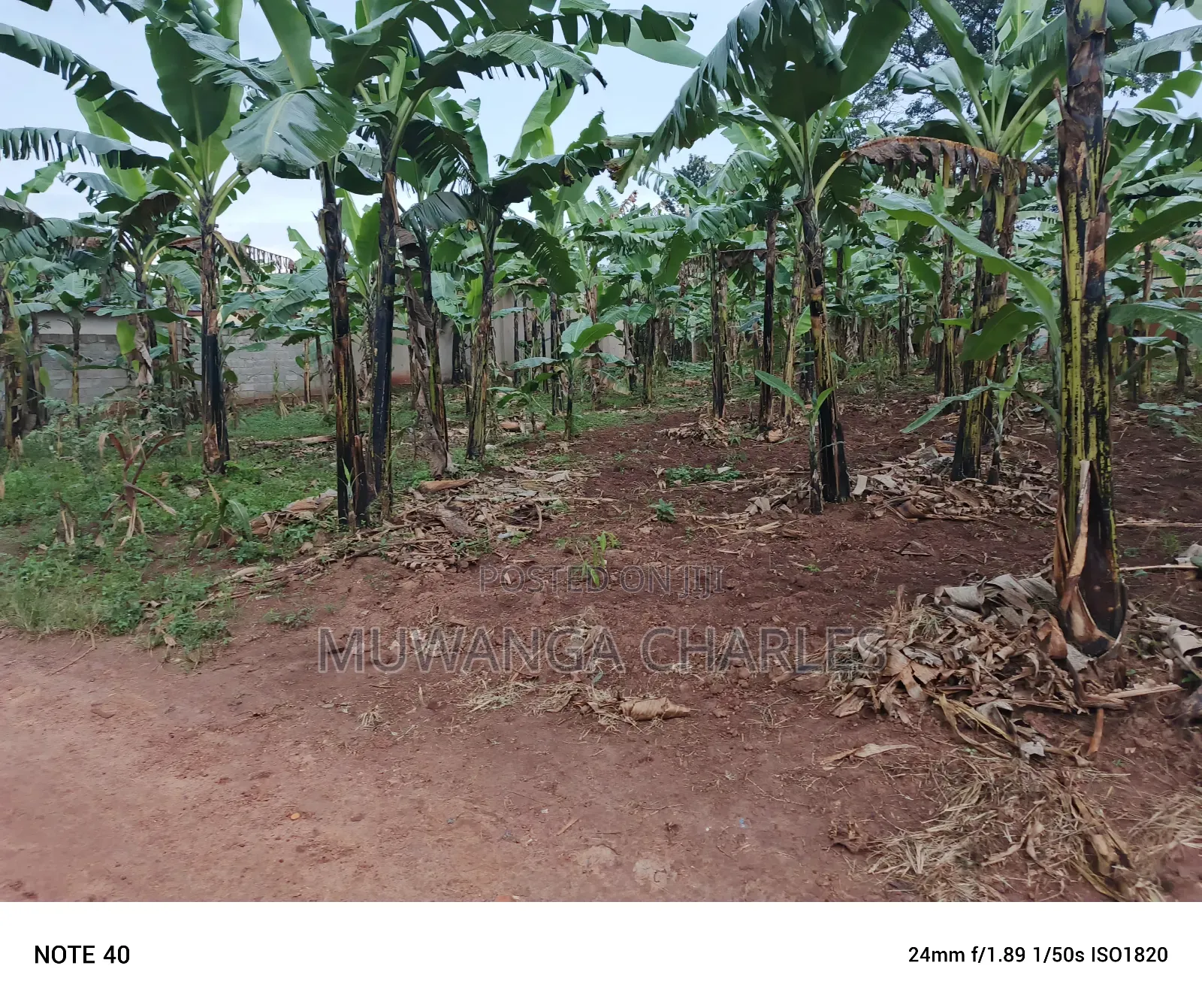 100by50ft Plot for Sale in Nangabo