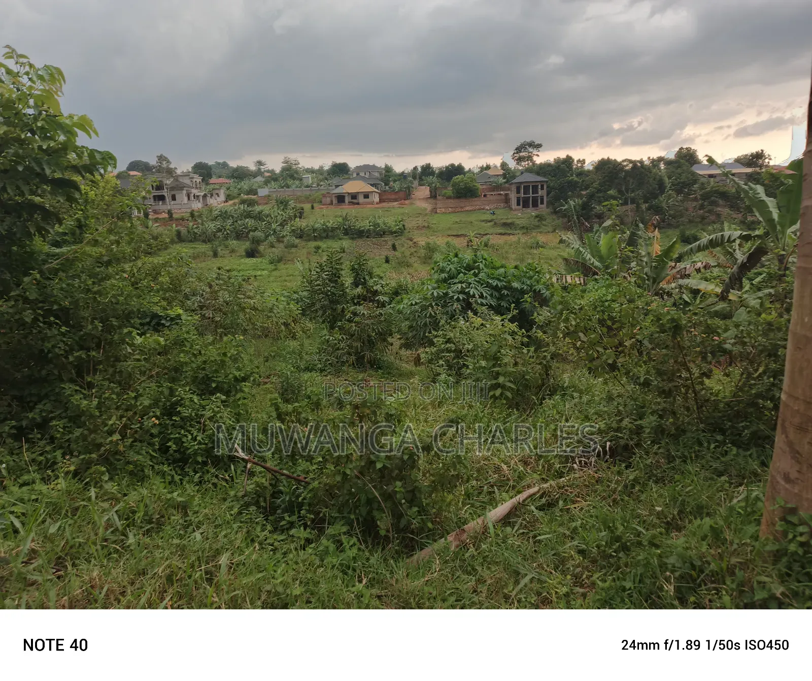 100by100ft Plot for Sale in Nangabo